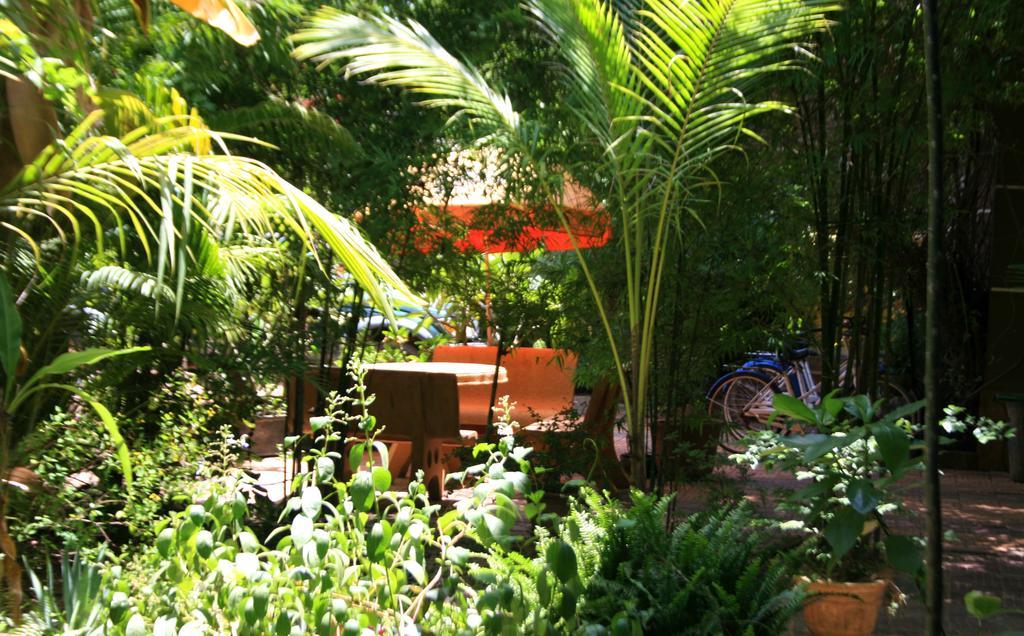 Firefly Guesthouse - The Berlin Angkor Siem Reap Extérieur photo