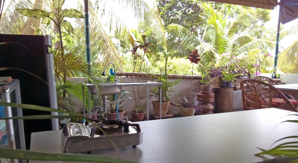 Firefly Guesthouse - The Berlin Angkor Siem Reap Extérieur photo