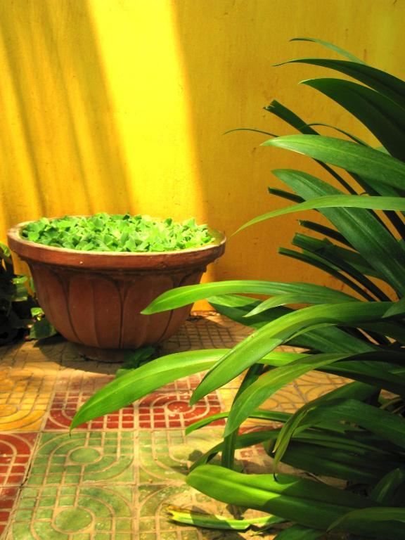 Firefly Guesthouse - The Berlin Angkor Siem Reap Extérieur photo