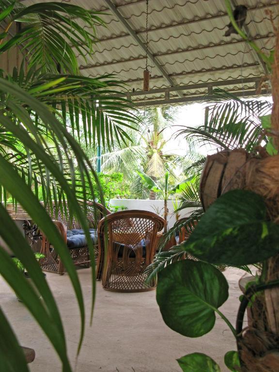 Firefly Guesthouse - The Berlin Angkor Siem Reap Extérieur photo